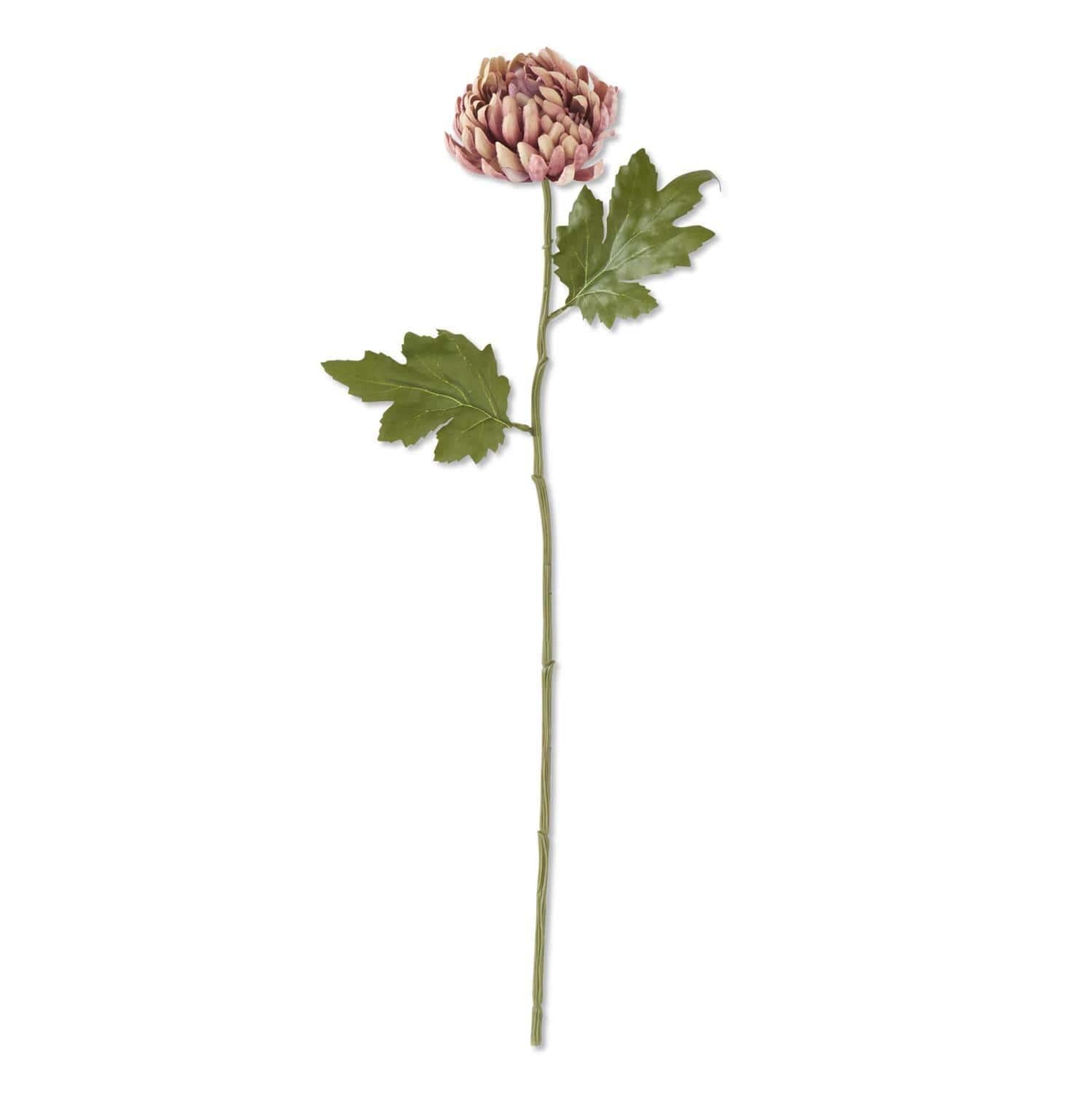 Mauve Stem